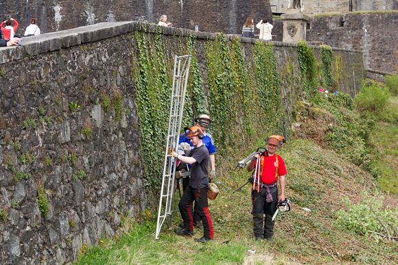 Staff with ladders for maintenance of the wall and creepers at S