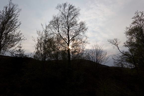 Sun behind a tree with cloudy sky in the Scottish Highlands in S