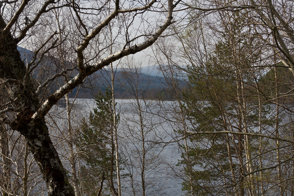 View of a Loch in the Scottish Highlands, visible through tree b