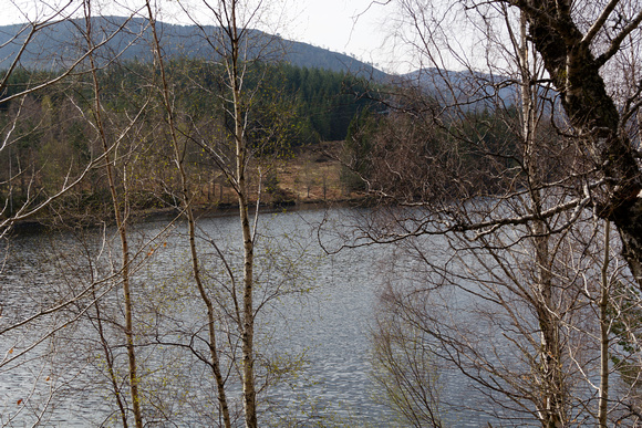 View of narrow section of Loch through trees in the Scottish Hig