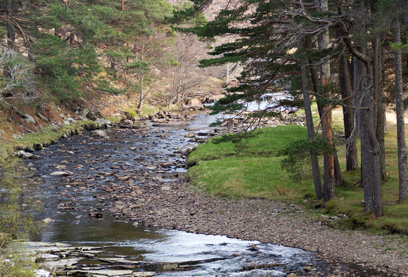 A shallow stream in the Scottish Highlands looking very beautifu