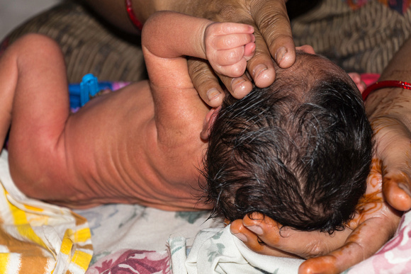 Masseuse doing light massage of scalp of a 5 day old Indian baby